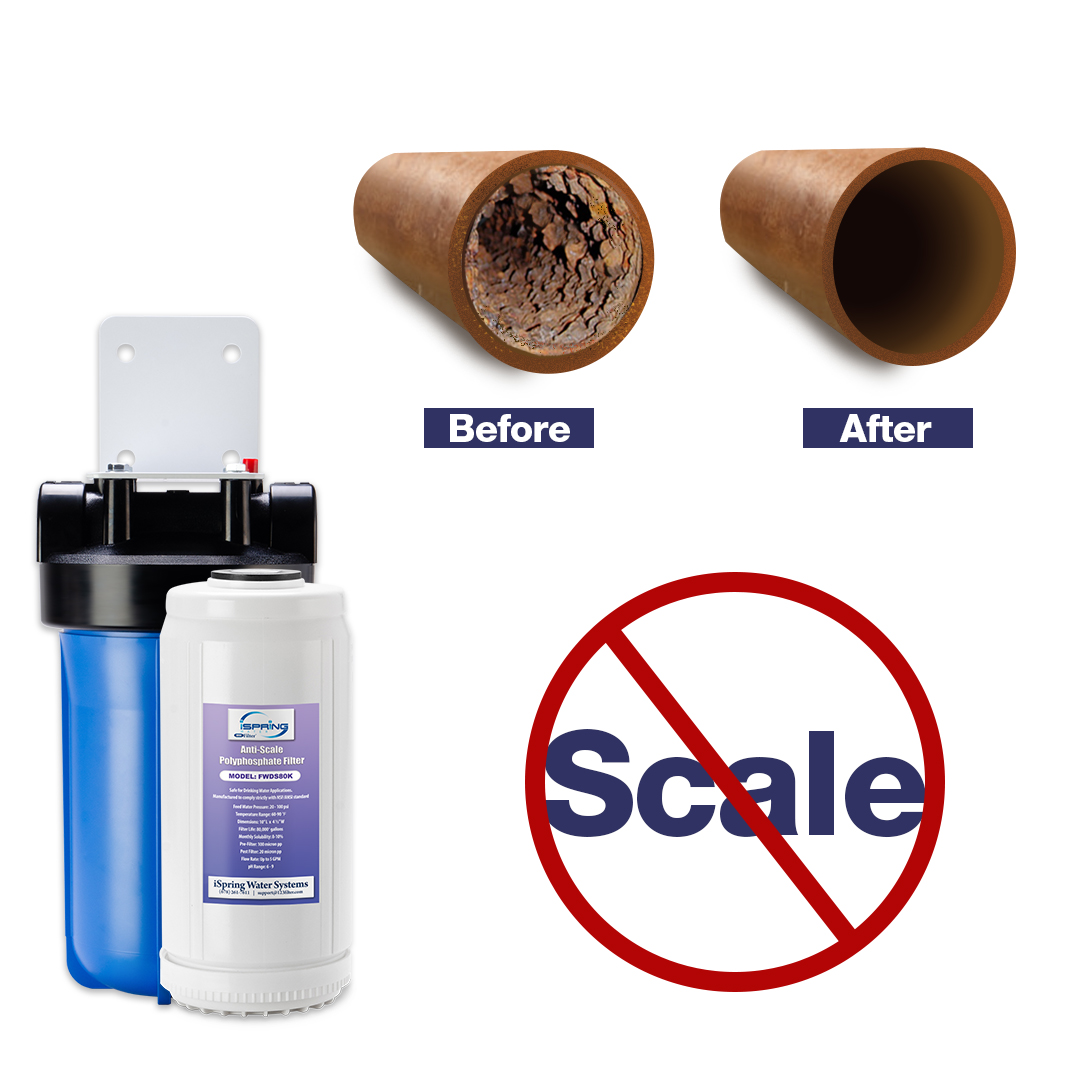 whole house water filtration system